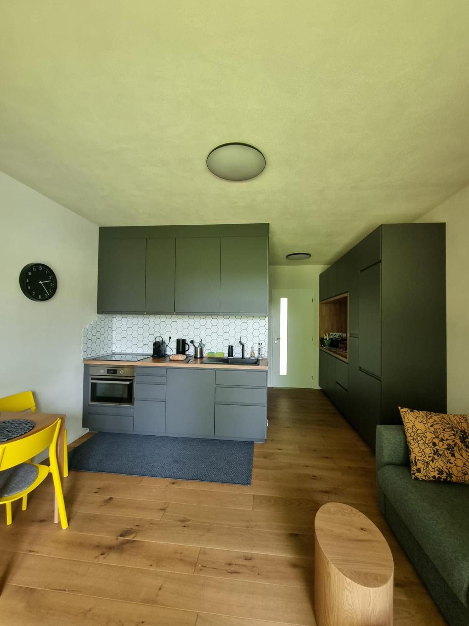 Apartman Berg Brcalnik Železná Ruda Екстериор снимка